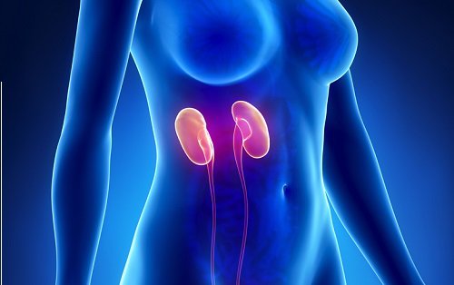 Ser sedentario tendría mayor riesgo de enfermedad renal