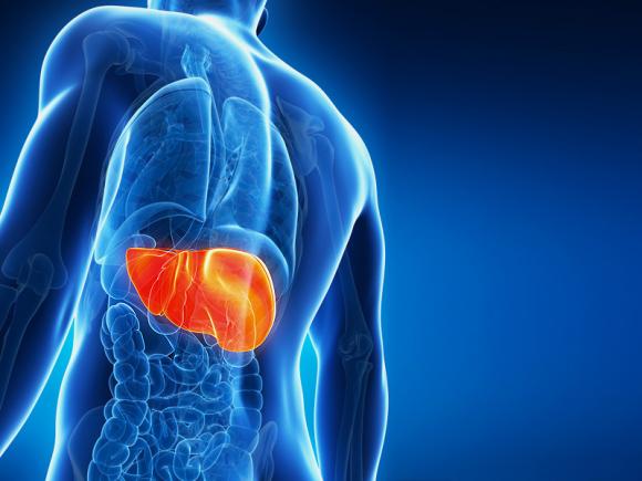 Hepatitis C: criterios de inclusión para nuevos tratamientos