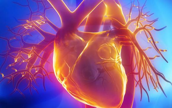 WikiCardio: sitio web con información para pacientes