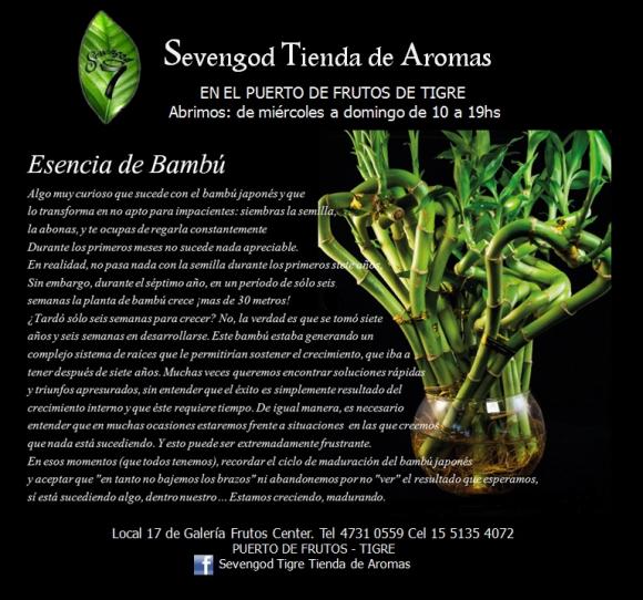 Abrimos de Miércoles a Domingo de 10 a 19 hs