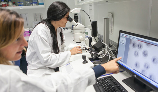 Investigación replantea la lucha contra el alzheimer