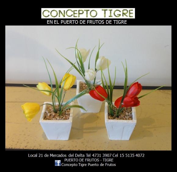 Abrimos de Miércoles a Domingo de 10 a 19 hs