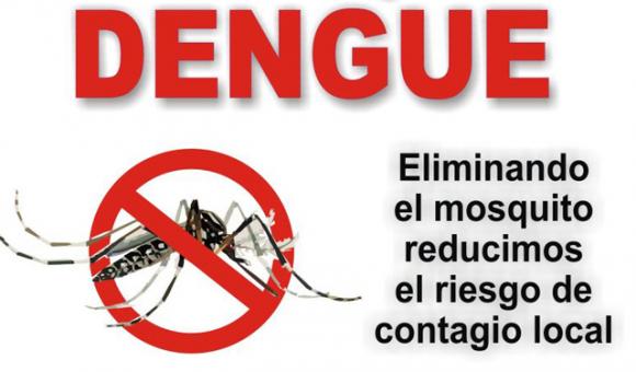 Bs. As. | Confirman 20 casos de dengue no autóctonos 