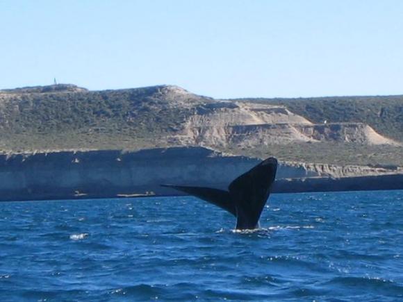 Victor Madera de Argentina