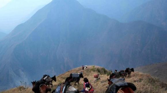 Perú: “Enfrentamos riesgos y peligros”, testimonio de un arqueólogo forense