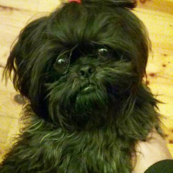 Victor Madera: visitas rutinarias de animales. Sanidad