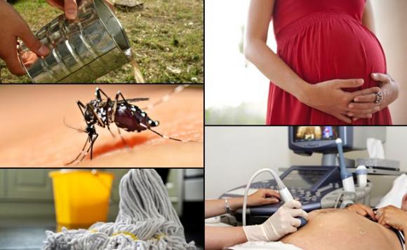 Zika: En San Isidro alertan a embarazas que salgan de viaje