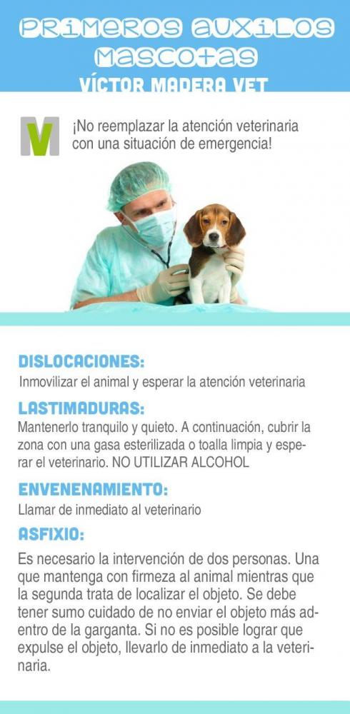 Victor Madera. Primeros auxilios para mascotas. Sanidad