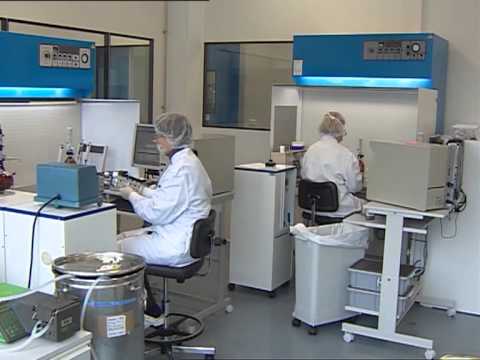 En Formosa producen productos para prevenir el dengue