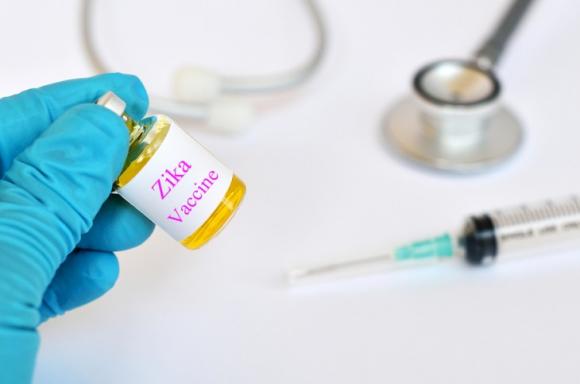 En 18 meses comenzarán los ensayos de una vacuna contra el zika
