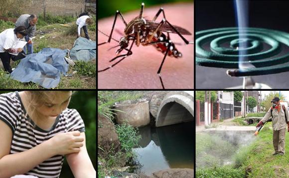 El alerta frente al dengue persistirá hasta mayo