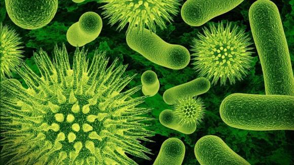 En 2050 las superbacterias causarán más muertes que el cáncer  