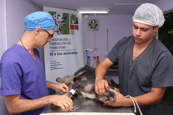 SAN ISIDRO: Castración y vacunación gratuita de mascotas en marzo
