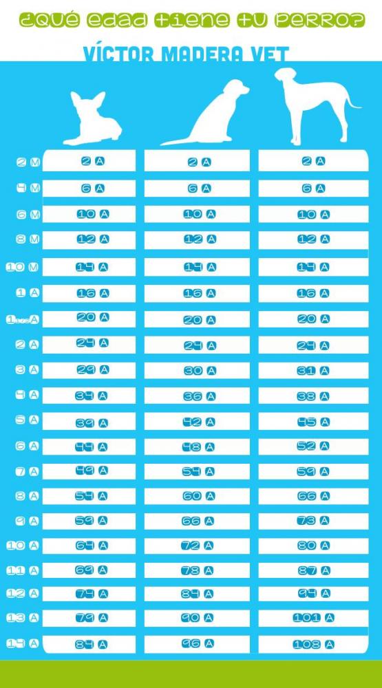 Victor Madera: ¿Qué edad tiene tu perro?