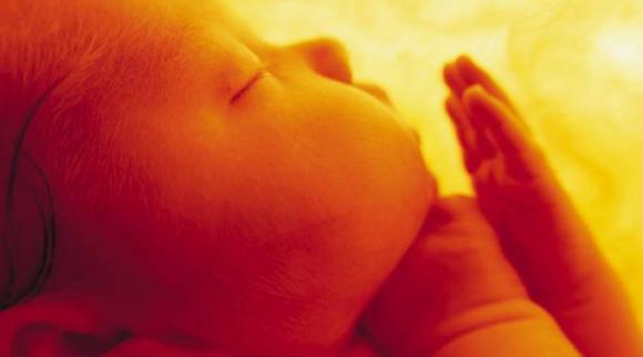 Chile: fuerte crítica al visto bueno de la Democracia Cristiana al proyecto de ley de aborto terapéutico