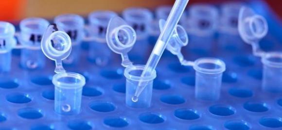 Test genético detecta el zika antes de que haya anticuerpos