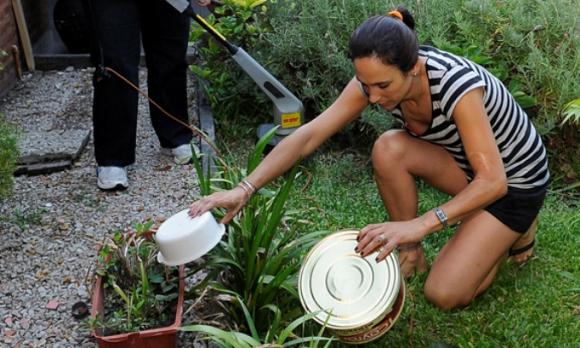 Prevención dengue: piden participación de las familias 