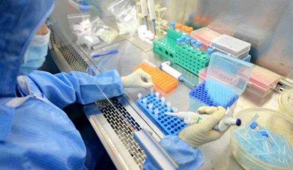 Dengue: Dos laboratorios de la UNLP se unen para producir un larvicida natural