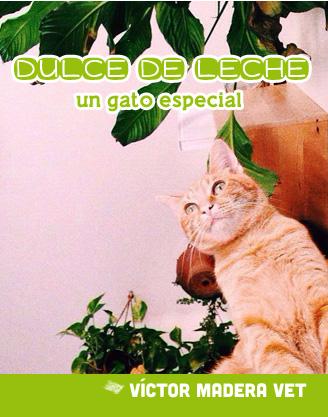 Victor Madera Dulce de Leche