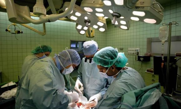 Cucaiba: En 4 días se realizaron 15 trasplantes