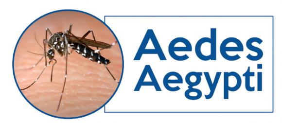 Provincia de Buenos Aires: Salud y Educación trabajan para prevenir el dengue en las escuelas 