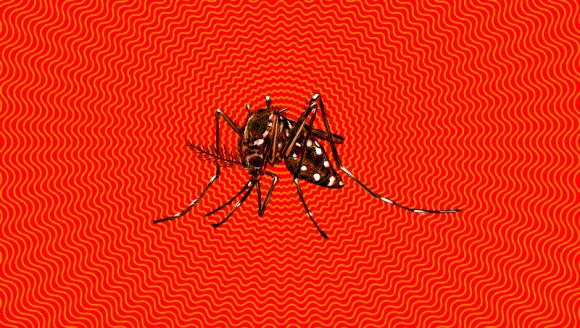 Son más de 20 mil los casos de dengue en el país