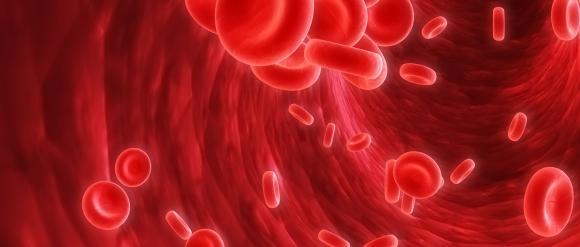 Una enfermedad de la sangre aumenta el riesgo cardiovascular