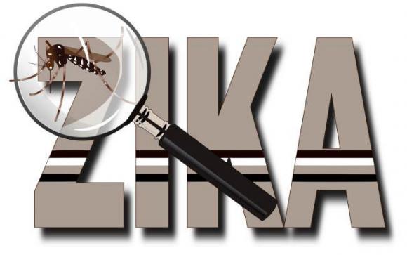Advierten que ¨la microcefalia sólo es la punta del iceberg¨ del zika 