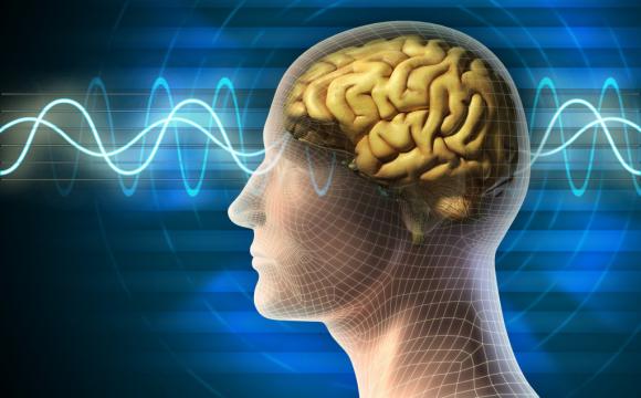 Día Mundial del Parkinson: Cómo mejorar la calidad de vida del paciente