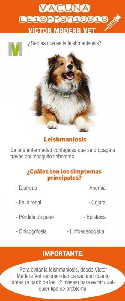 Victor Madera vacuna