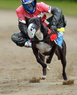 Ahora sí el gobierno tomó medidas por la crisis energética...