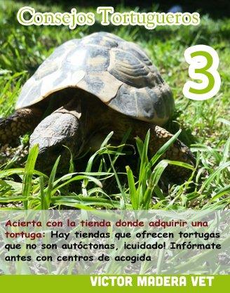 Consejo tortuga 3 Victor Madera: La tienda