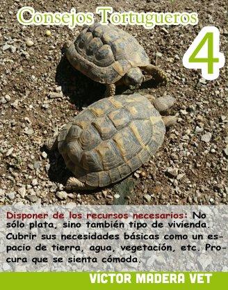 Consejo tortuga 4 Victor Madera: recursos necesarios: 