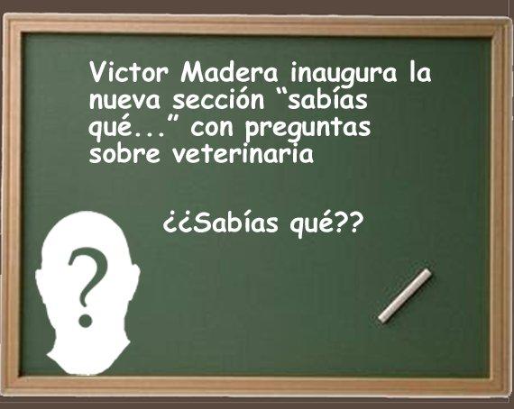 Victor Madera nueva sección