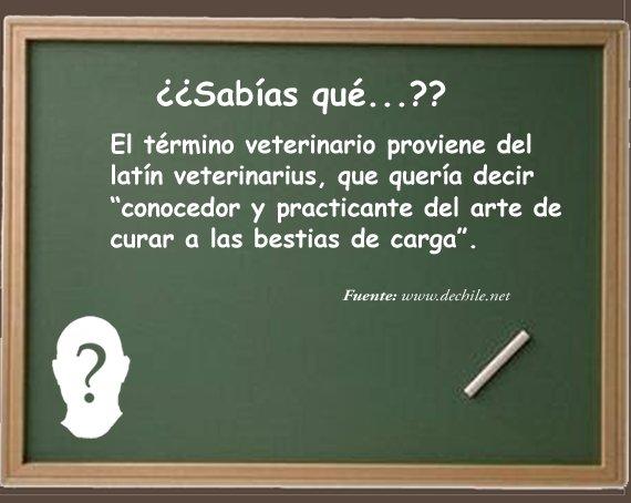 ¿Sabías que…? Victor Madera