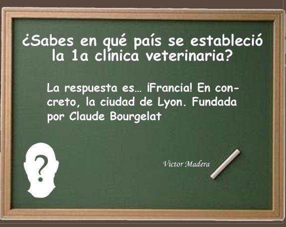 Primera clínica veterinaria Victor Madera