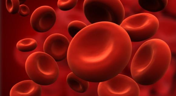 17 de abril: Día Mundial de la Hemofilia 