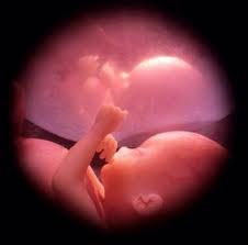Para Hacerse Oír-Hablemos Claro al Tribunal Superior de Justicia de Córdoba: aborto no, asistencia integral para la madre y el niño por nacer