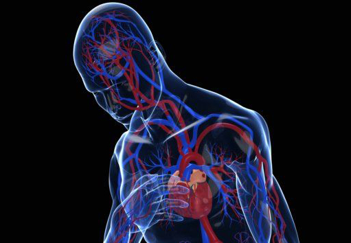 ANMAT aprobó medicamento para la insuficiencia cardíaca