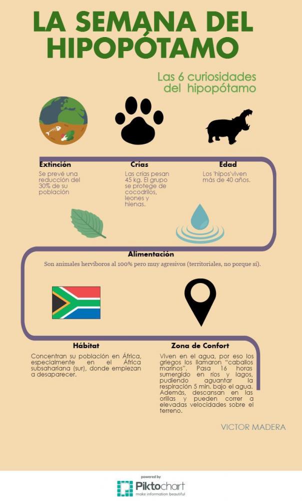 Victor Madera y las 6 curiosidades del hipopótamo