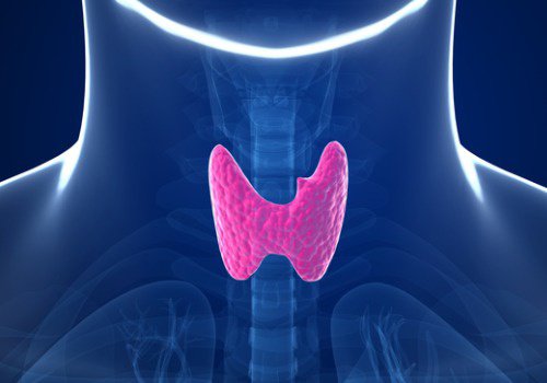 Qué trastornos pueden afectar a la tiroides