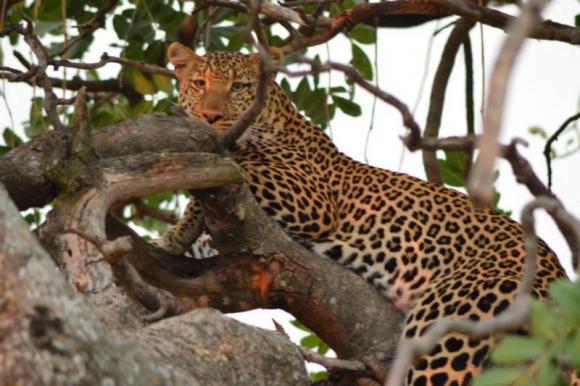 Victor Madera continúa con sus reflexiones sobre su viaje por África