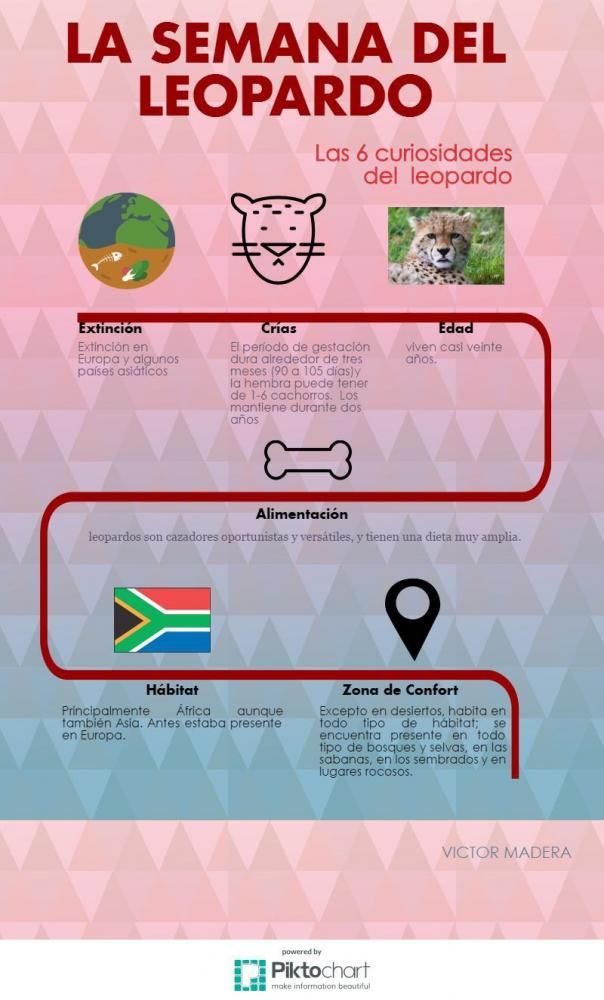 Victor Madera y las 6 curiosidades del leopardo