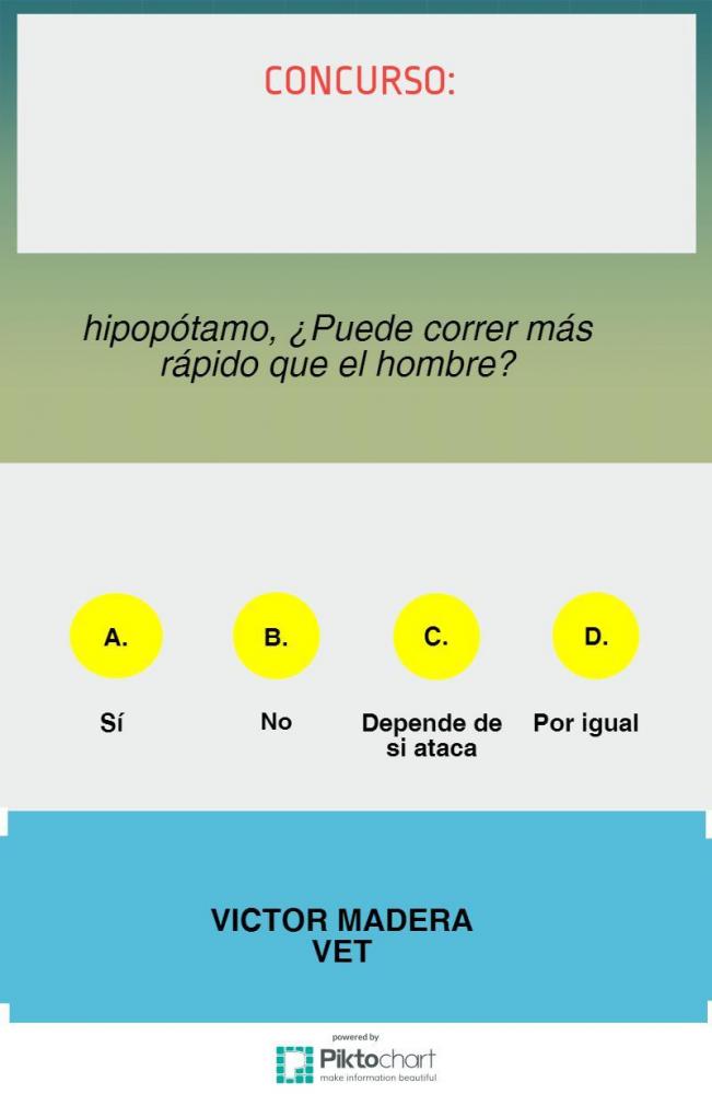 Victor Madera: Concurso hipopótamo