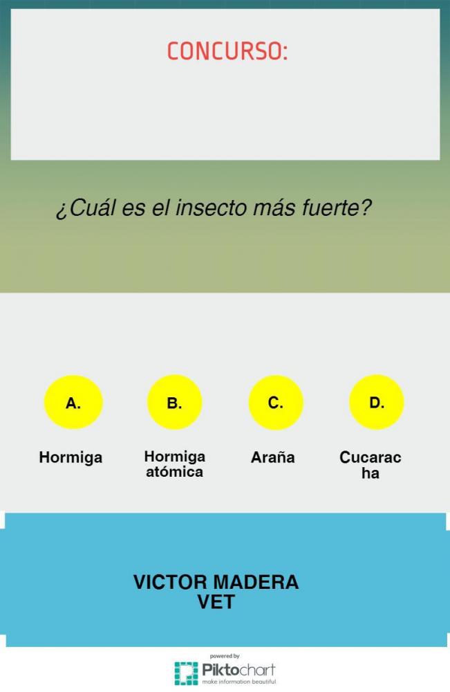 Victor Madera: Concurso Insecto