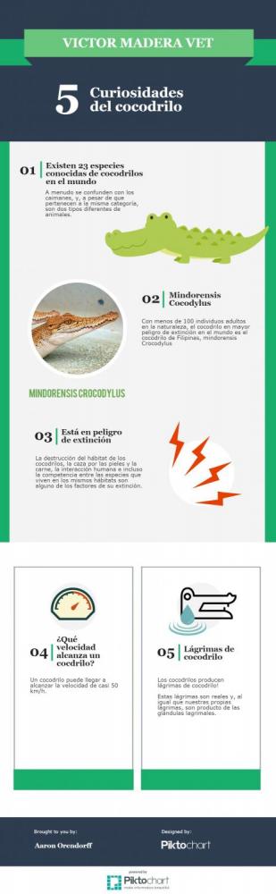 Victor Madera: Curiosidades del cocodrilo