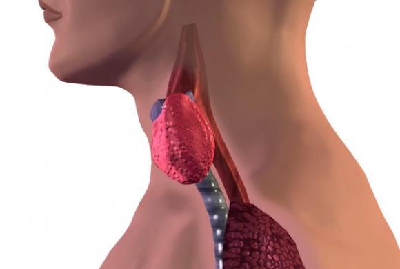 25-05: Día Internacional de la Tiroides | Hipotiroidismo una enfermedad oculta