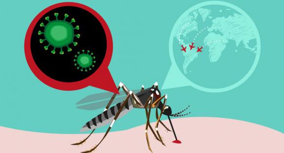 Juegos Olímpicos: Debate por el riesgo de contagio del Zika 