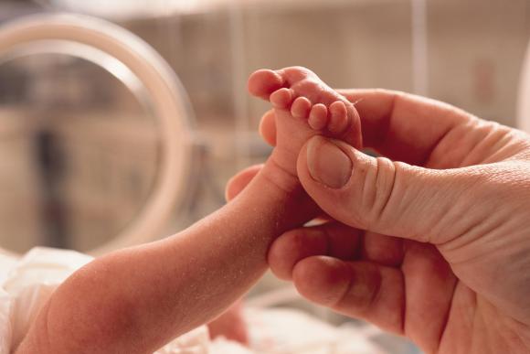 El hospital de niños Sor María Ludovica dicta un taller para padres de niños prematuros