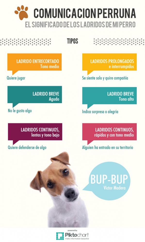 Victor Madera: Tipos de ladridos